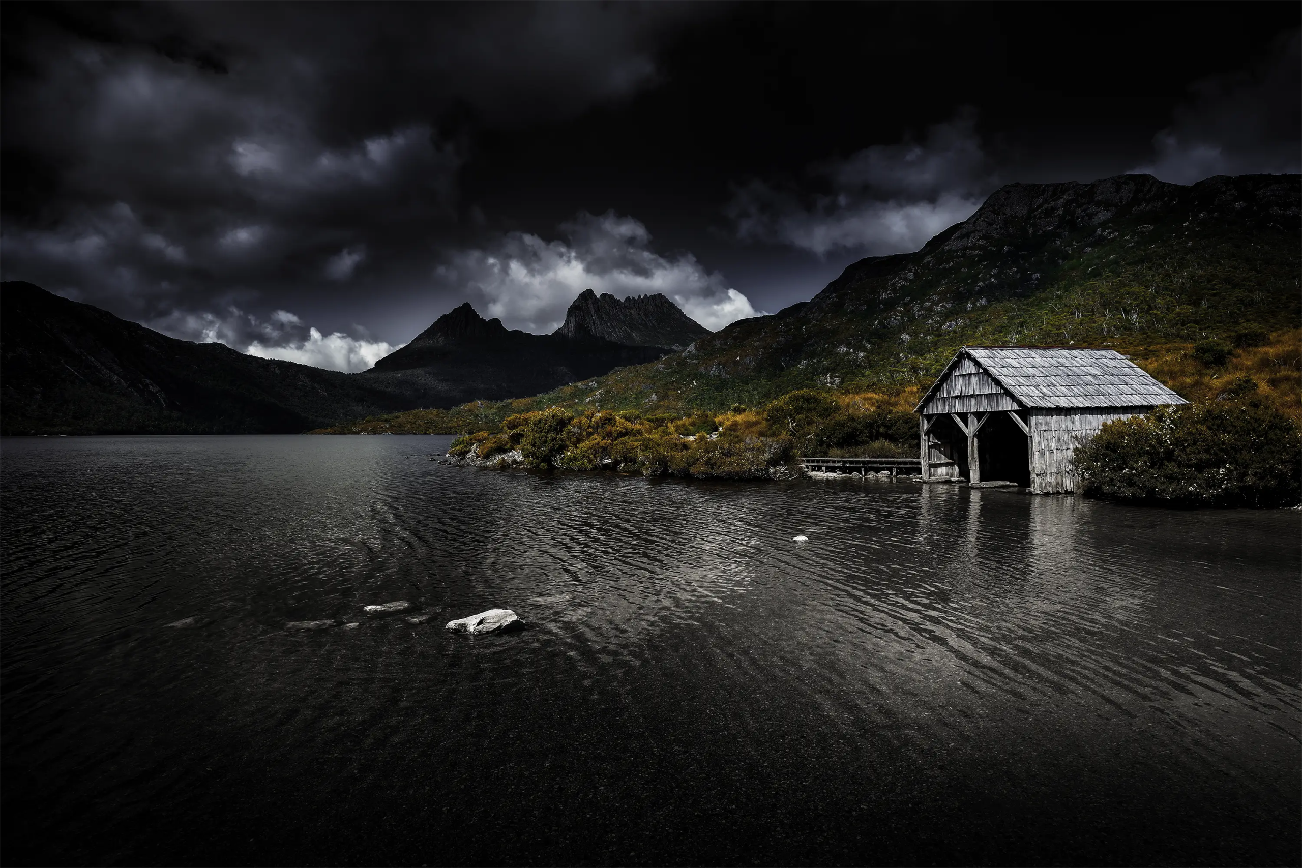 The Cradle