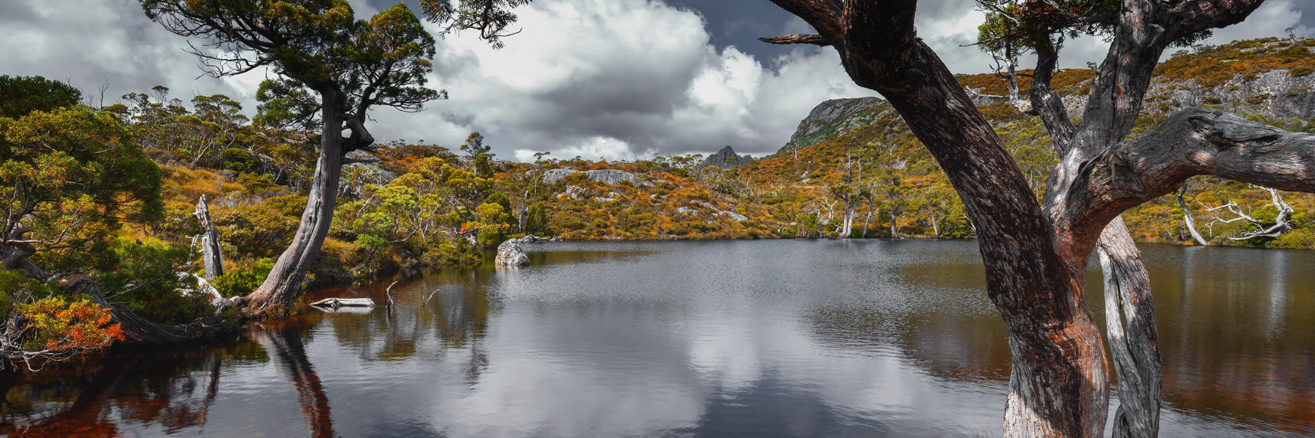 Wombat Pool