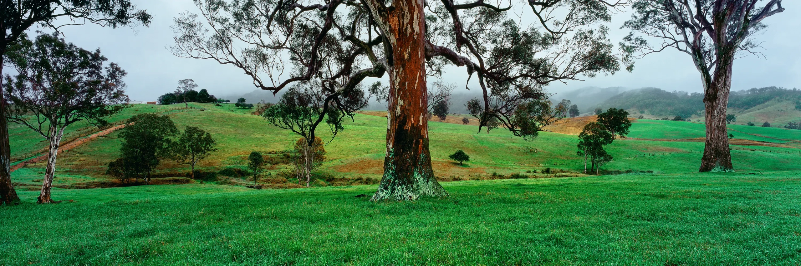 Green Pastures Wall Art
