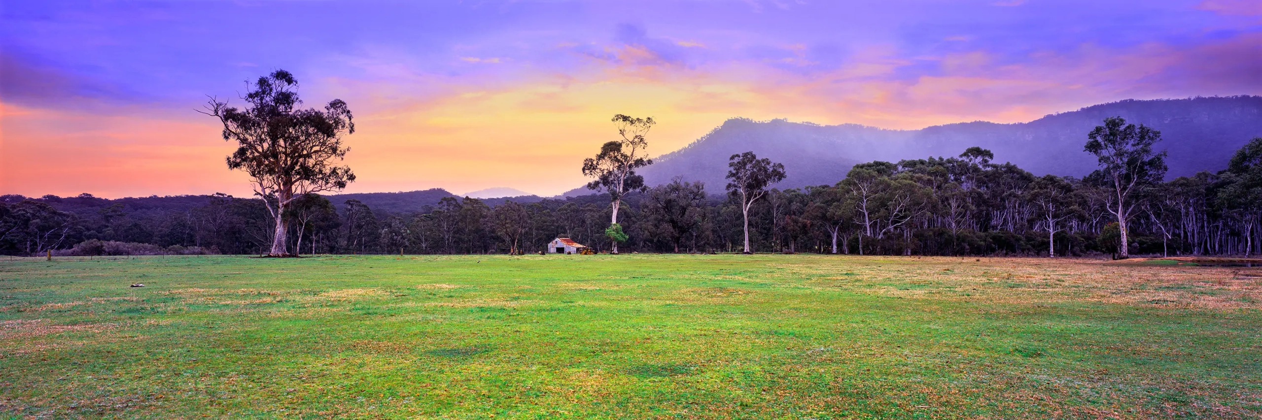 Majestic Megalong Valley Wall Art