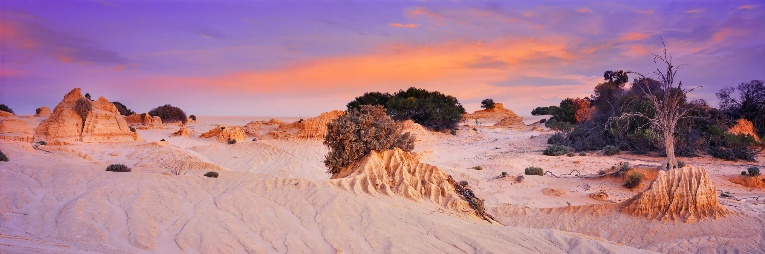Mungo Twilight Wall Art