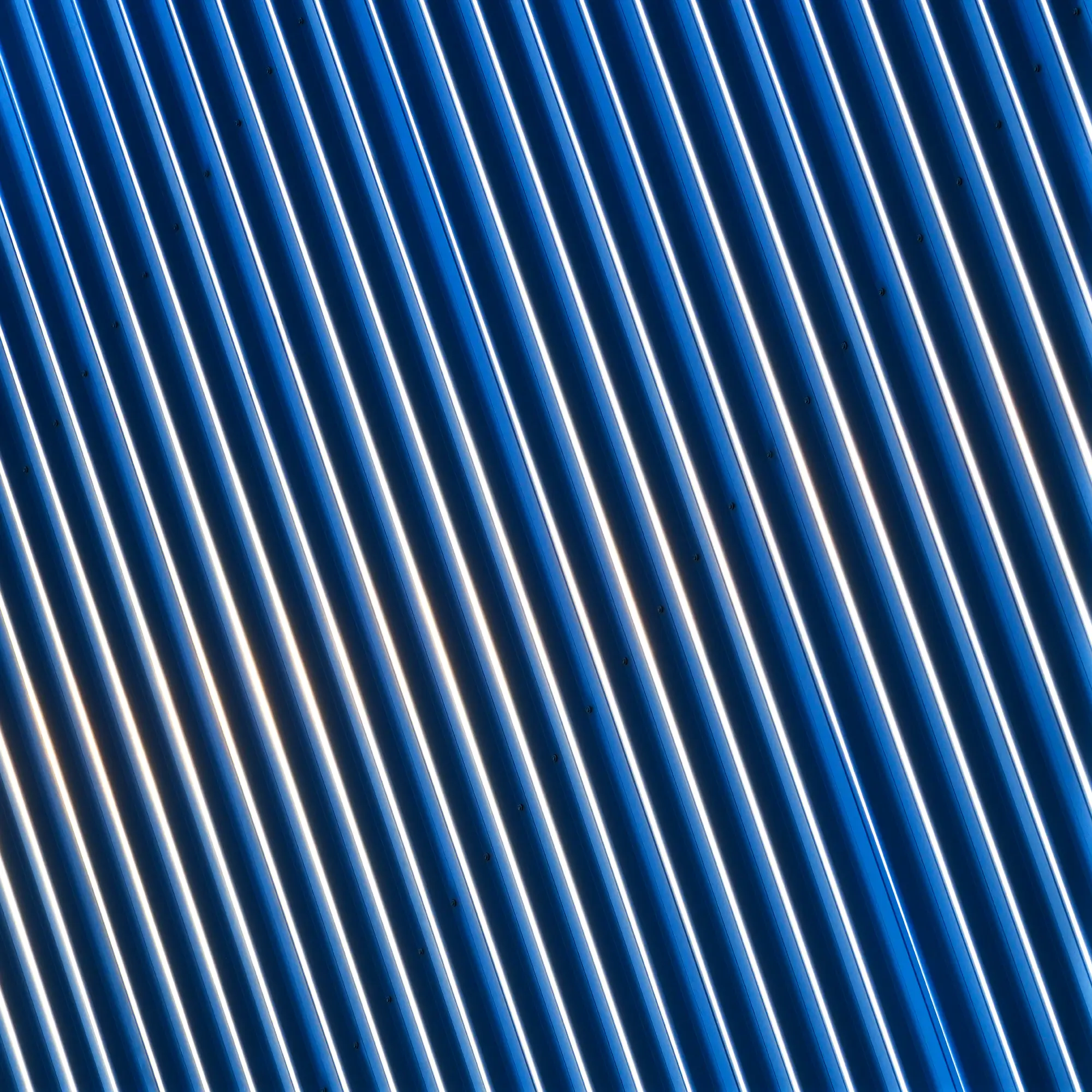 Blue Over White Wall Art