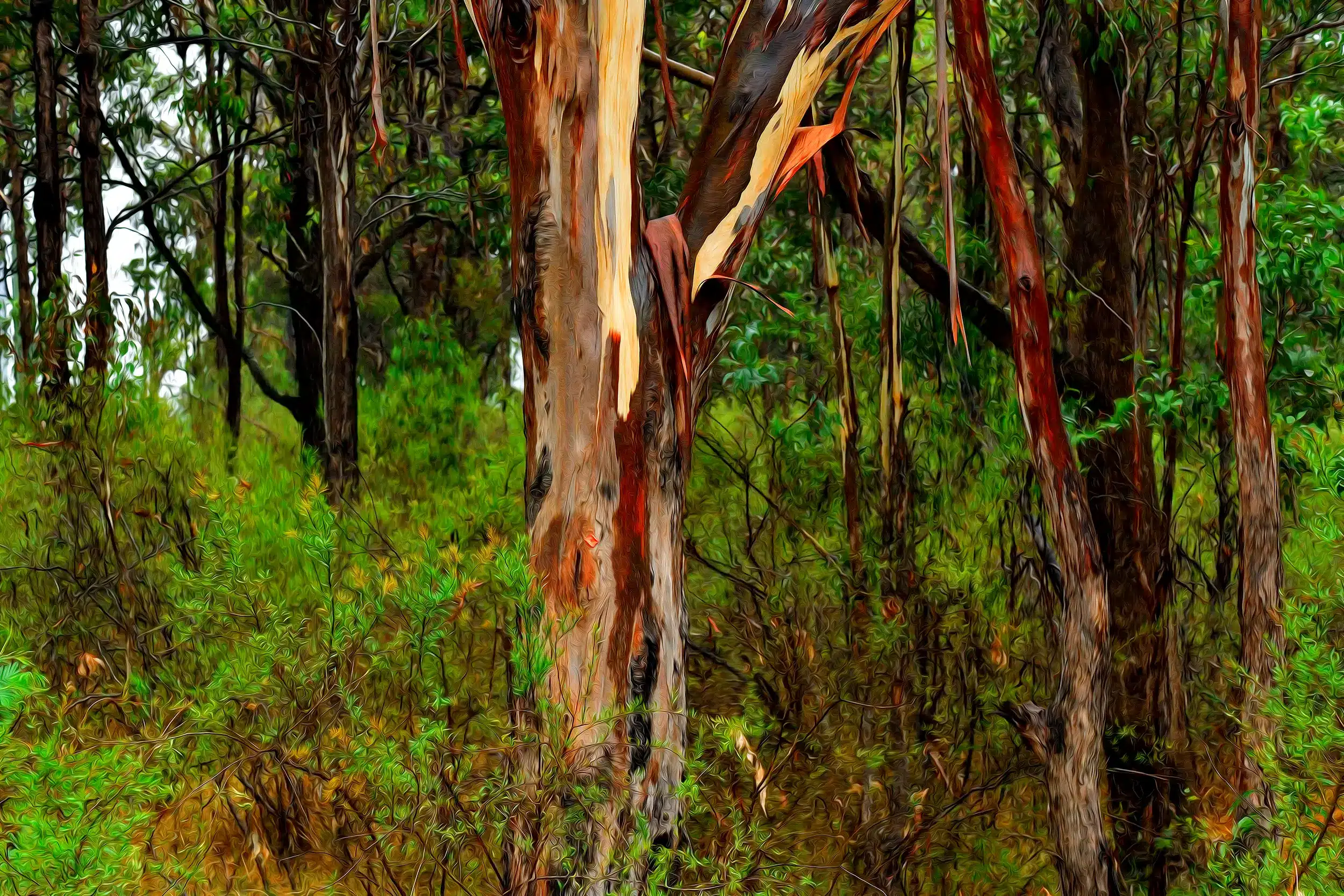 Wet Gums - Oil Wall Art