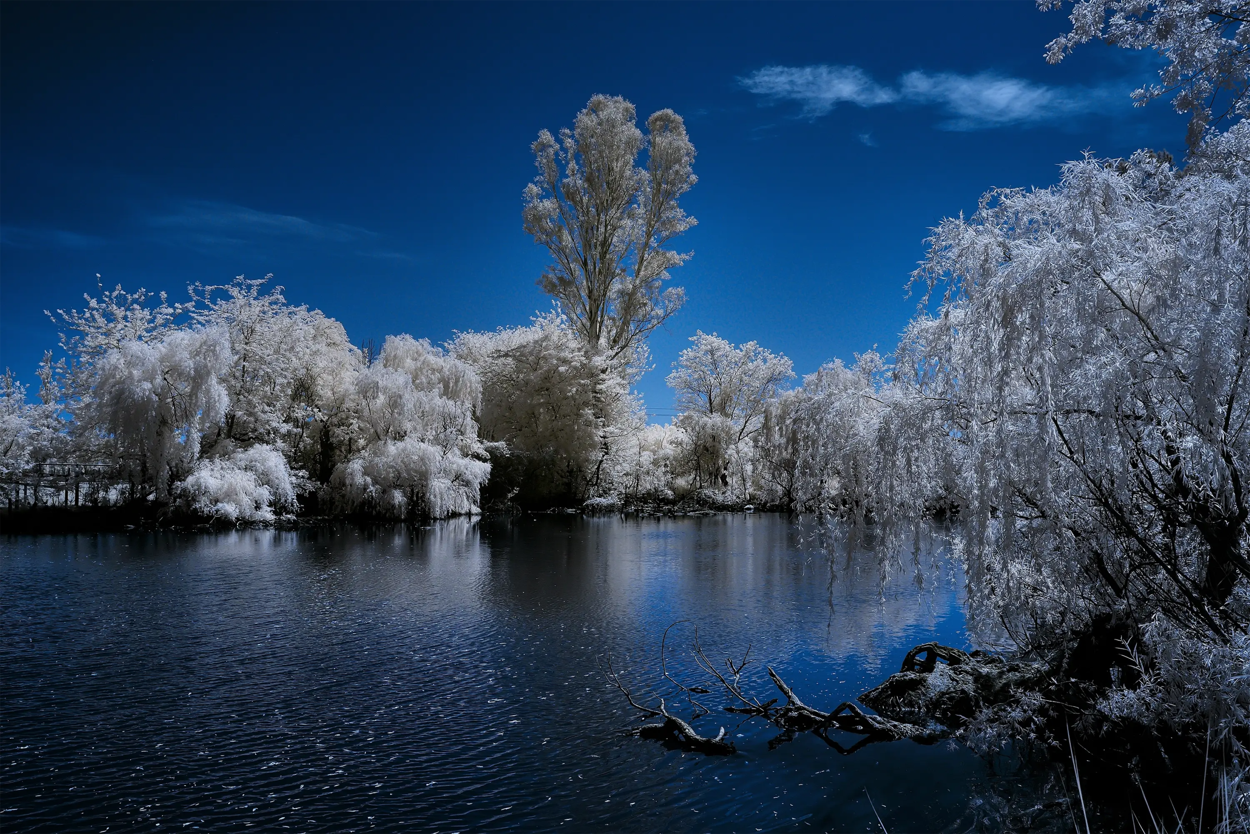 Blue Love IR 720 NM Wall Art