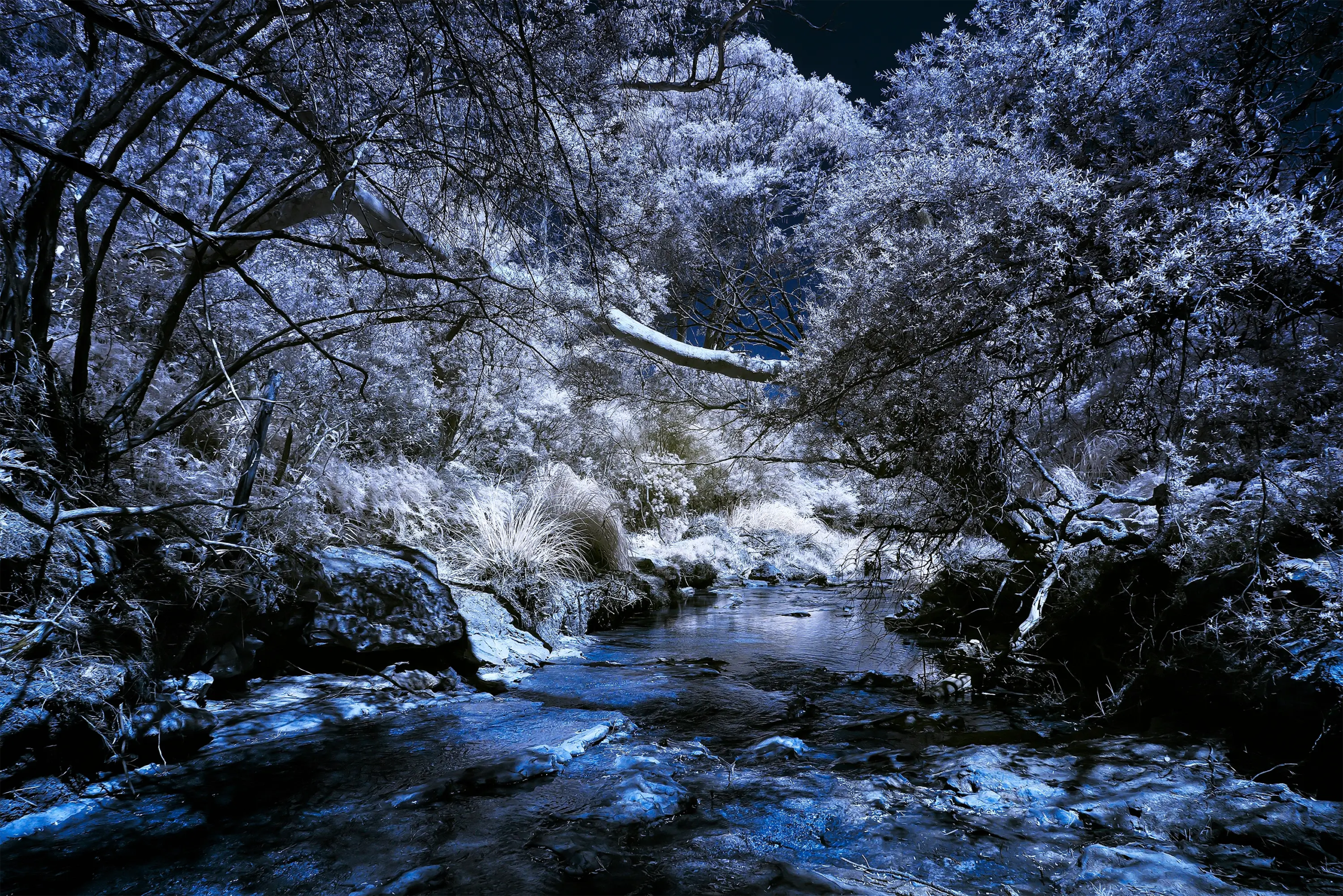 Down Stream IR 720 NM Wall Art