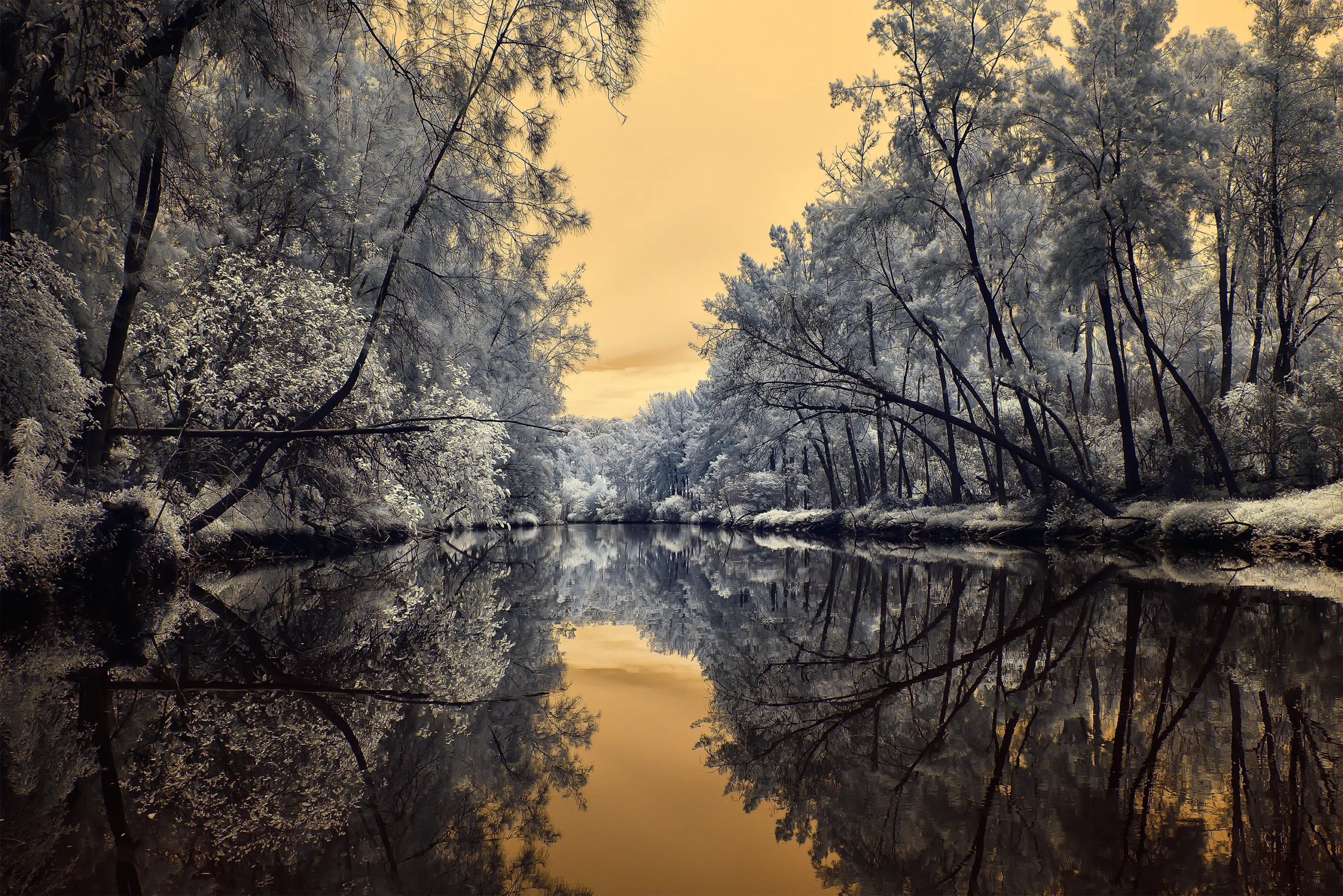 River Crossing IR 720 NM Wall Art