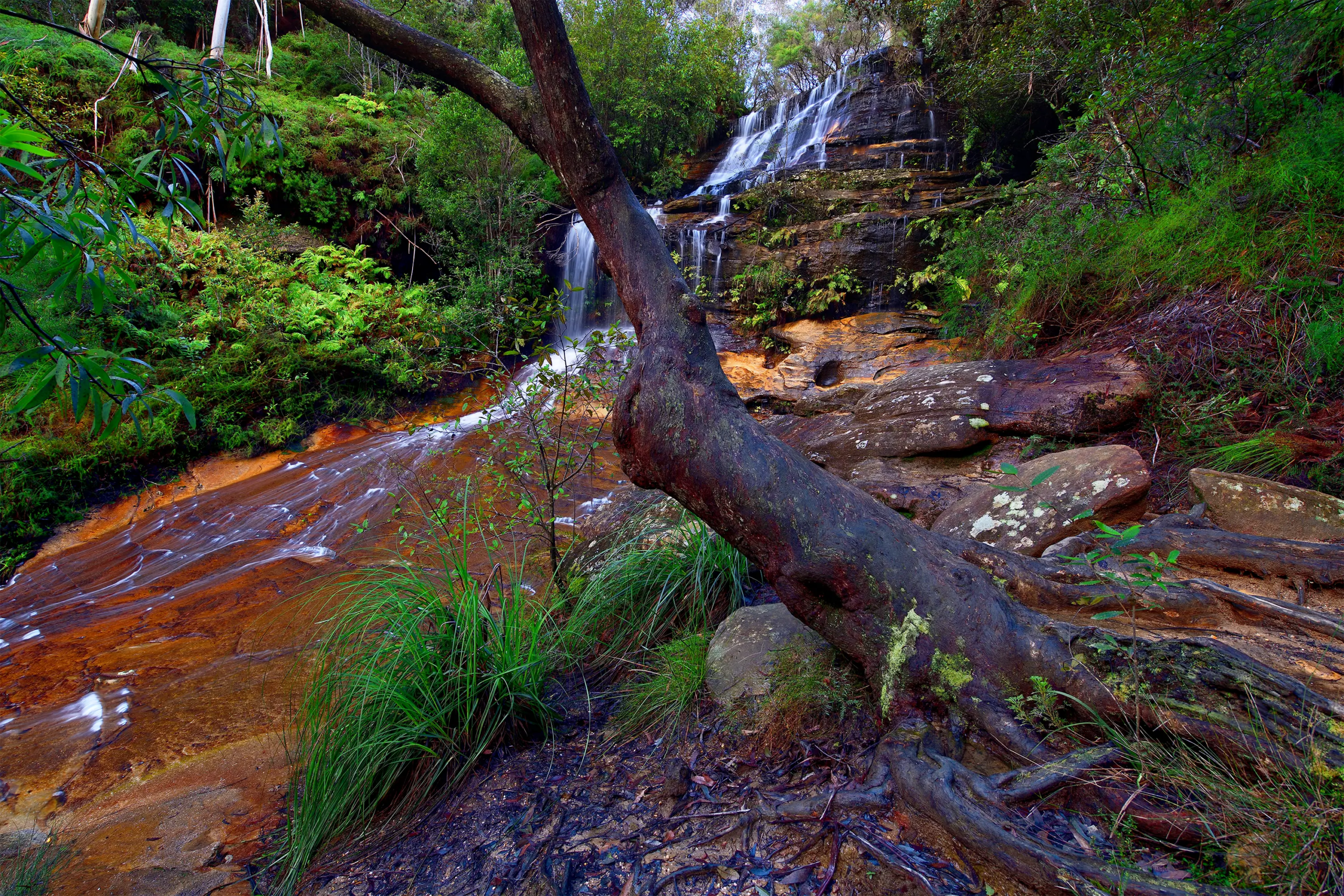 Whispering Falls Wall Art