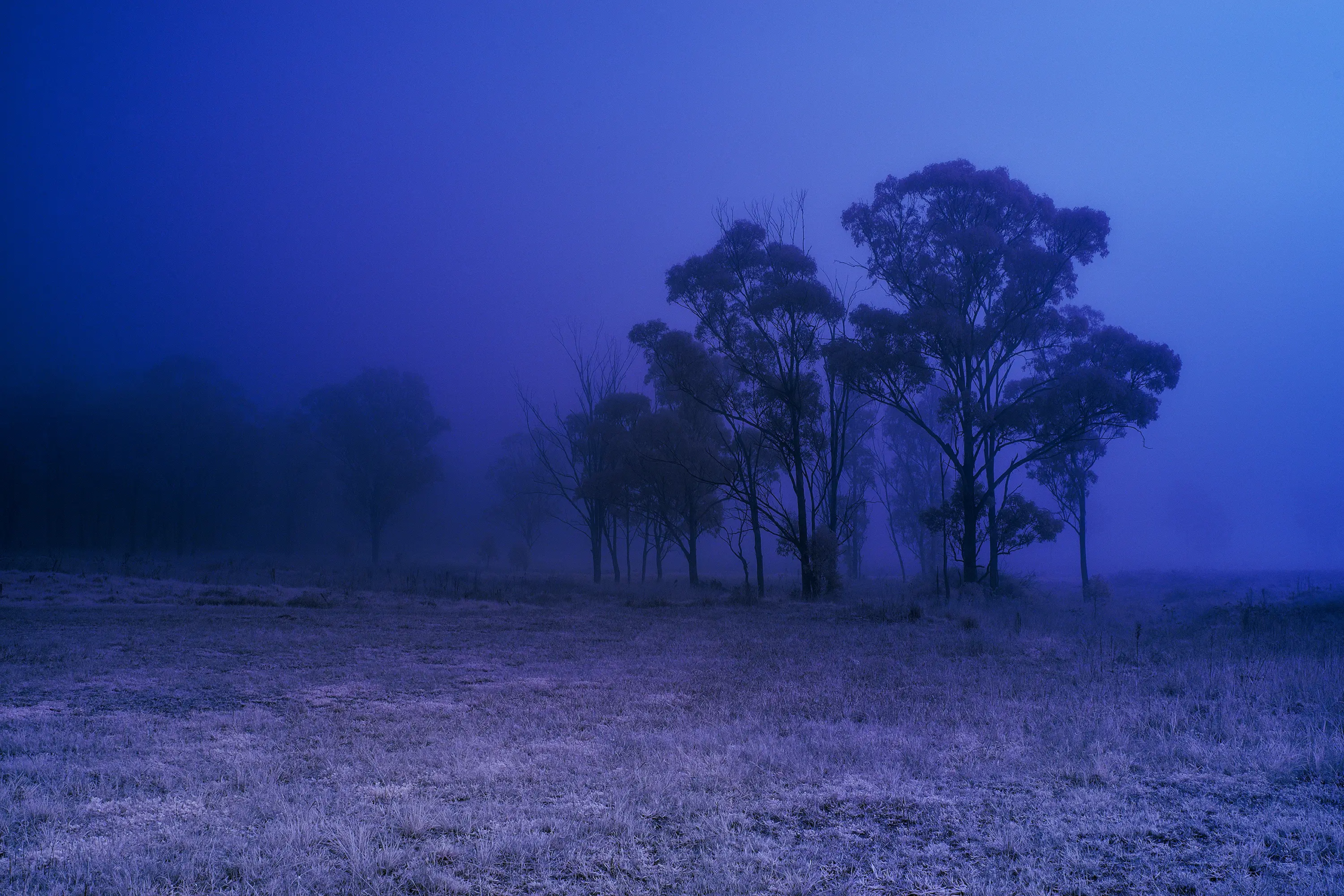 Country Mist Wall Art