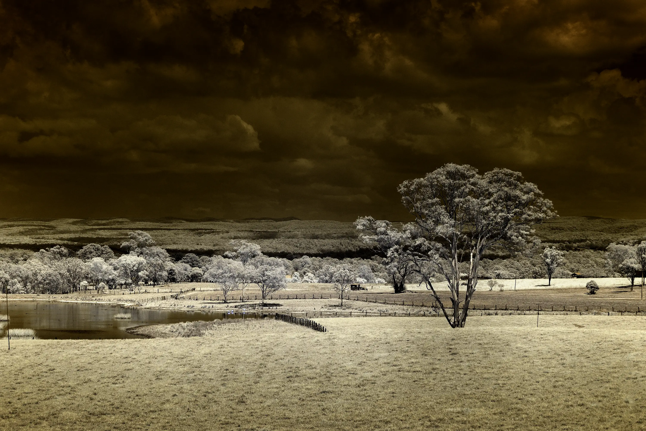 The Storm Wall Art