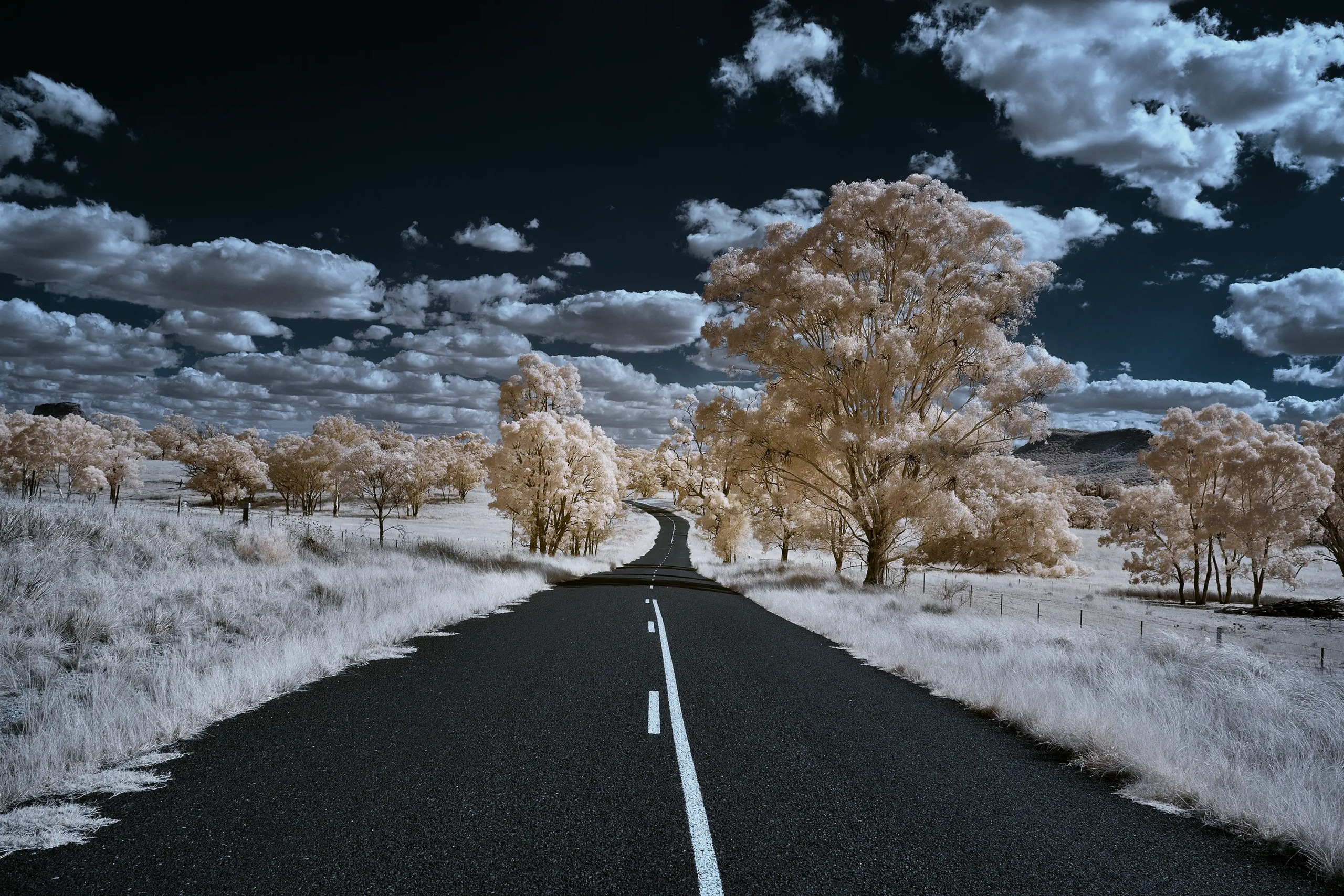 Glen Davis Road IR 720 NM Wall Art