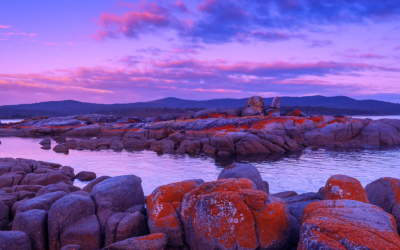 Coastal Wall Art For Your Living Room